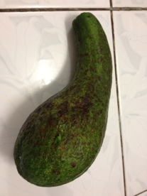 A gourd, you say? Why no - it's an avocado from the tree next to our office!