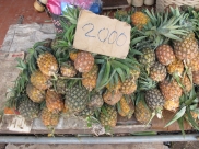Pineapples for sale - small and sweet