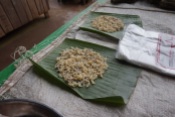 Ant larvae for sale in the market